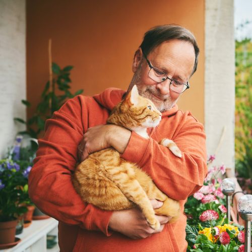 Man holding orange cat